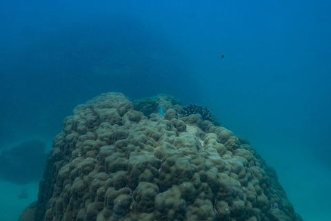 Ningaloo Immersion Private Charter - Winery Find 4