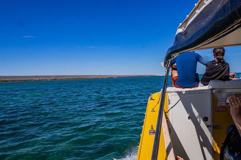 Ningaloo Immersion Private Charter - Winery Find 0