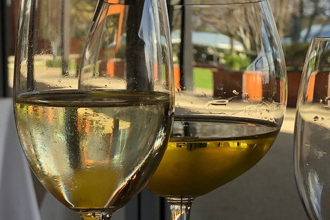 A Taste Of The Swan Valley - Winery Find 6