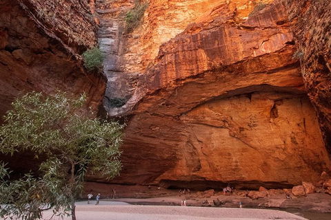 Bungles Day Trek Extended (with Echidna Chasm) - Winery Find 0