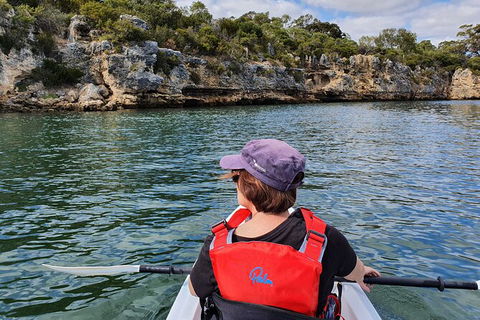 Cliffs And Caves Kayak Tour In Swan River - Winery Find 1