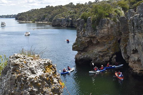 Cliffs And Caves Kayak Tour In Swan River - Winery Find 2