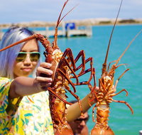 Rock lobster Pot Pull Tour in Kalbarri - Winery Find