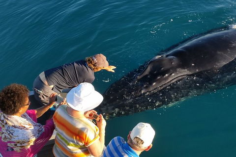 AOC Broome Whale Watching - Winery Find 0
