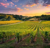 Swan Valley Sunset Wine Tour - Premium Small Group Tour - Winery Find
