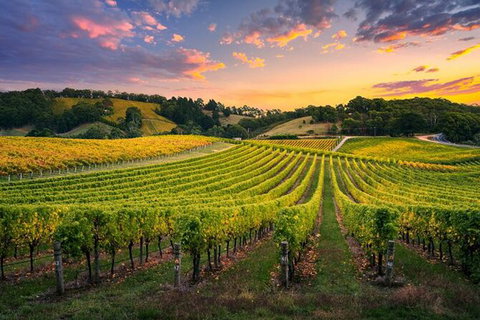 Swan Valley Sunset Wine Tour - Premium Small Group Tour - Winery Find 0