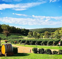 Bickley Valley Wine  Cider Tour - Premium Small Group Tour - Winery Find