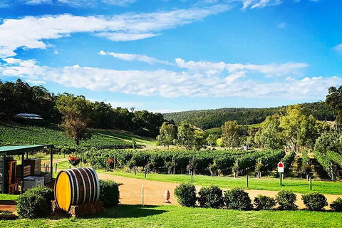 Bickley Valley Wine & Cider Tour - Premium Small Group Tour - Winery Find 0
