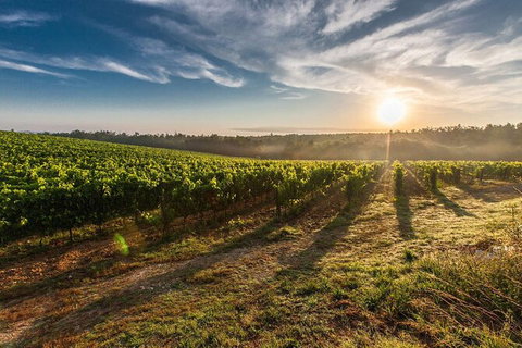 Perth To Margaret River Wine Tour - 2 Day Premium Boutique Wine Tour Experience - Winery Find 0