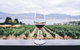 Full-Day Gourmet Wine Tour With Pick Up And Lunch - thumb 1
