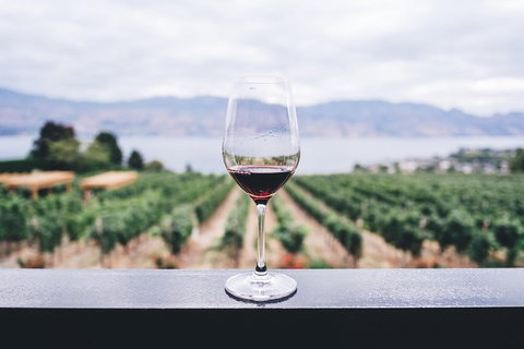 Full-Day Gourmet Wine Tour With Pick Up And Lunch - Winery Find 1