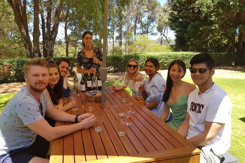 Full-Day Gourmet Wine Tour With Pick Up And Lunch - Winery Find 5
