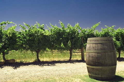 Pinnacles Desert Private Tour - Winery Find 4