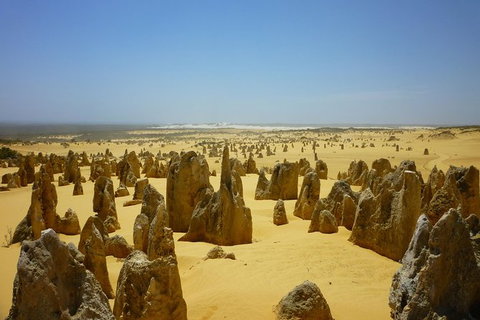 Pinnacles Desert Private Tour - Winery Find 5