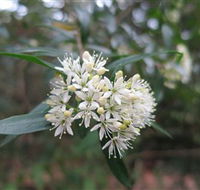 Booderee National Park - Winery Find
