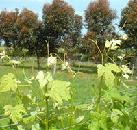 Barwon Ridge Wines - Winery Find