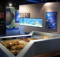 Marine and Freshwater Discovery Centre - Winery Find