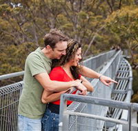 Valley of the Giants Tree Top Walk - Winery Find