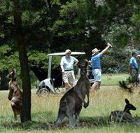 Glen Innes Golf Club - Winery Find