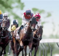 Colac Turf Club - Winery Find