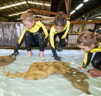 Australian Shark and Ray Centre - Winery Find