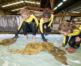 Australian Shark And Ray Centre - Winery Find 0