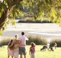 Yanchep National Park - Bushwalking Trails - Winery Find