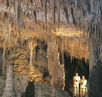 Mammoth Cave - Winery Find