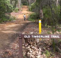 Old Timberline and Sidings Rail Trails - Winery Find