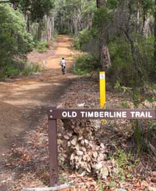 Old Timberline And Sidings Rail Trails - Winery Find 0