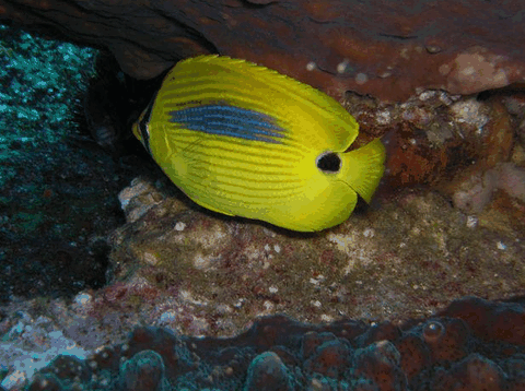 Jervis Bay Dive Charters - Winery Find 1
