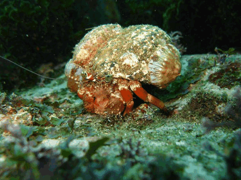 Jervis Bay Dive Charters - Winery Find 2