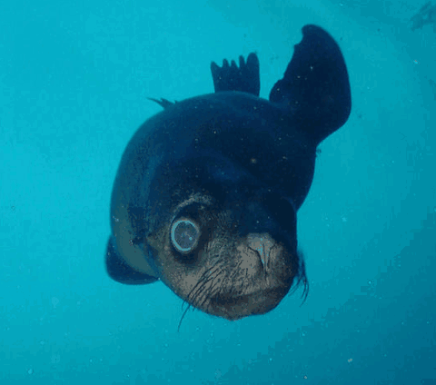 Jervis Bay Dive Charters - Winery Find 3