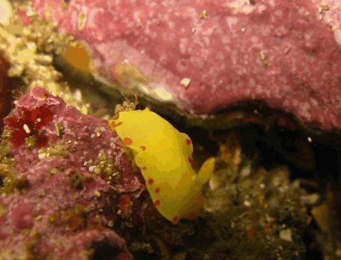 Jervis Bay Dive Charters - Winery Find 5