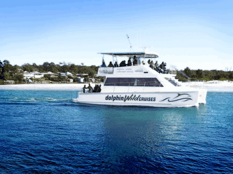 Dolphin Wild Cruises - Winery Find 1
