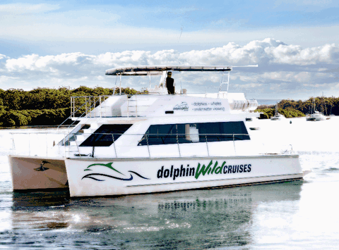 Dolphin Wild Cruises - Winery Find 2