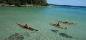 Jervis Bay Kayak & Paddlesports - Winery Find 4