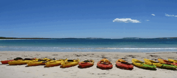 Jervis Bay Kayak & Paddlesports - Winery Find 5