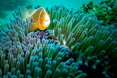 Whitehaven Xpress Whitehaven Beach Tours - Winery Find 3