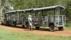 Whitsunday Crocodile Safari - Winery Find 2