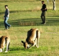 Araucaria Ecotours - Winery Find