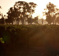 Evans  Tate - Winery Find