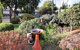 Beautiful Garden House - thumb 21