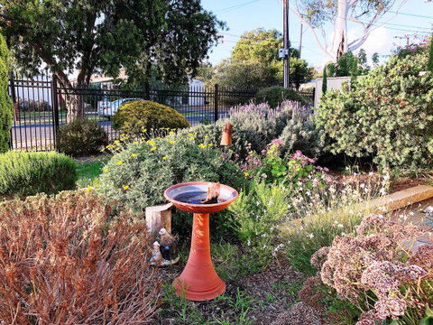 Beautiful Garden House - Winery Find 21