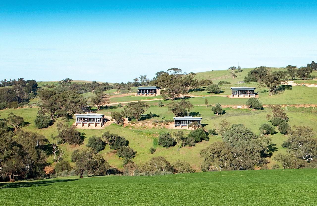 Pewsey Vale SA Winery Find