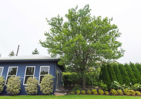 S T U D I O 22 Peaceful Retreat With Garden Views - Winery Find 11