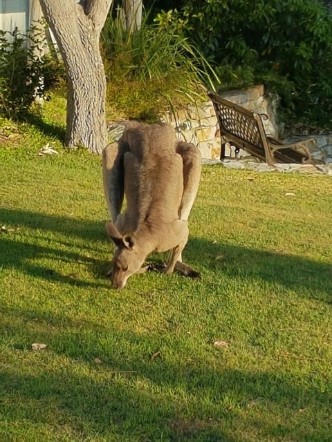\'Point Break\' Your Waterfront Break At The Point - Winery Find 12