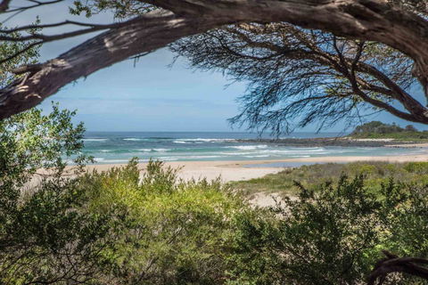 BIG4 Tasman Holiday Parks - Racecourse Beach - Winery Find 7