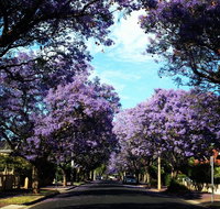 Monaco Court Apartment Adelaide - Winery Find