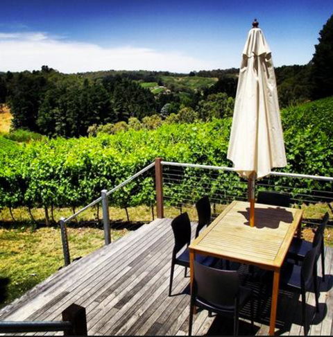 Monaco Court Apartment Adelaide - Winery Find 27